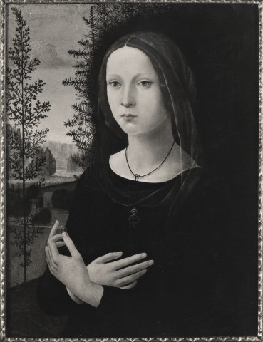 A. C. Cooper — Lorenzo di Credi - sec. XV/ XVI - Ritratto di giovane donna — insieme